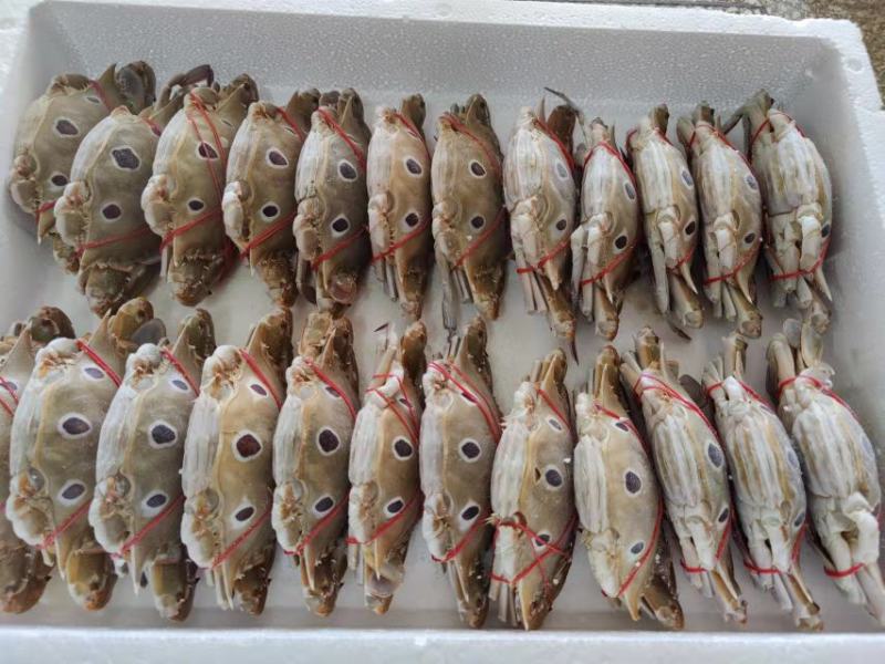 三点蟹4KG泡沫箱装