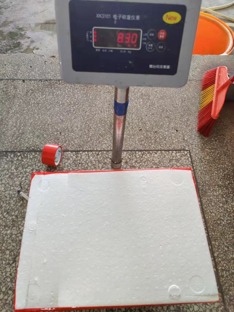 三点蟹4KG泡沫箱装