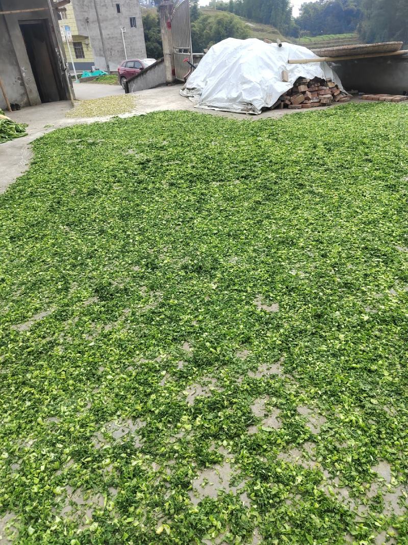 梅干菜/水盐菜/梅菜扣肉/梅菜饼/梅菜肉包/上好原材料