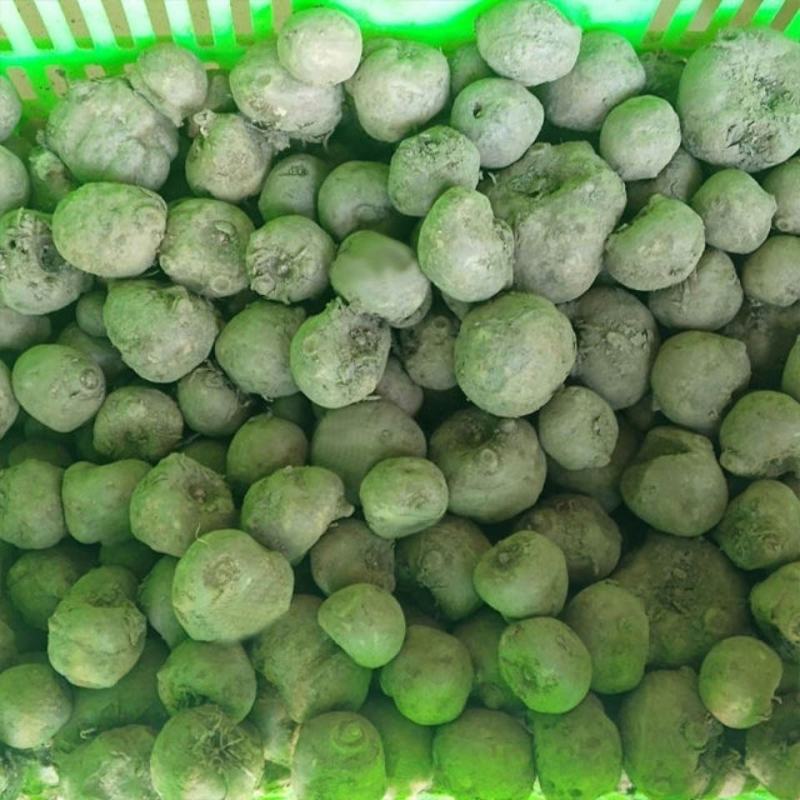 精选优质杂交魔芋，产地直供，包邮到家，量大优惠