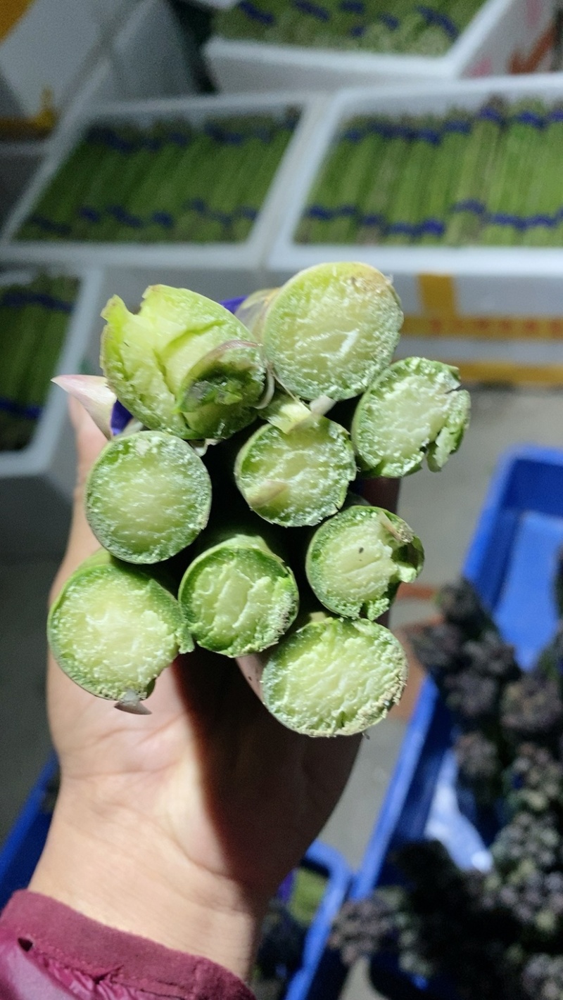 掉价啦！
