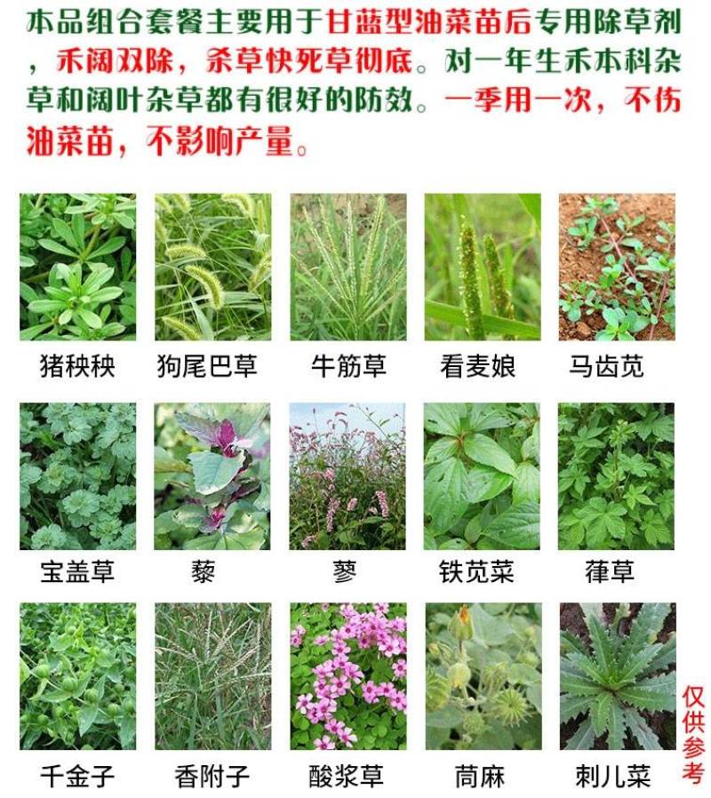 烯草酮三联包组合甘蓝型油菜田地苗后专用除草剂禾