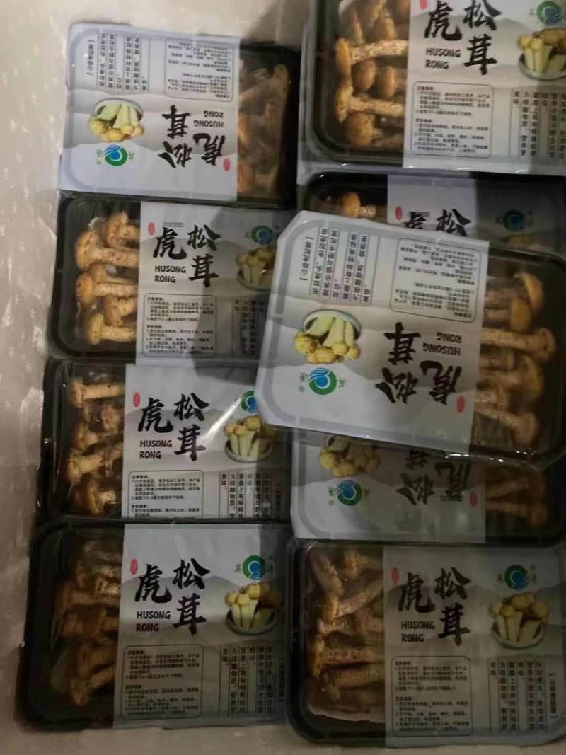 虎松耸菌