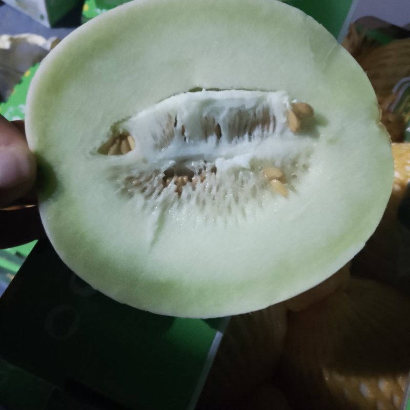 海南乐东海沙地哈密瓜玉姑，保值保量，可对接档口和平台社区