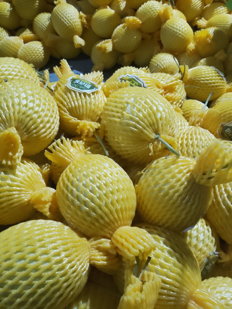 海南乐东海沙地哈密瓜玉姑，保值保量，可对接档口和平台社区