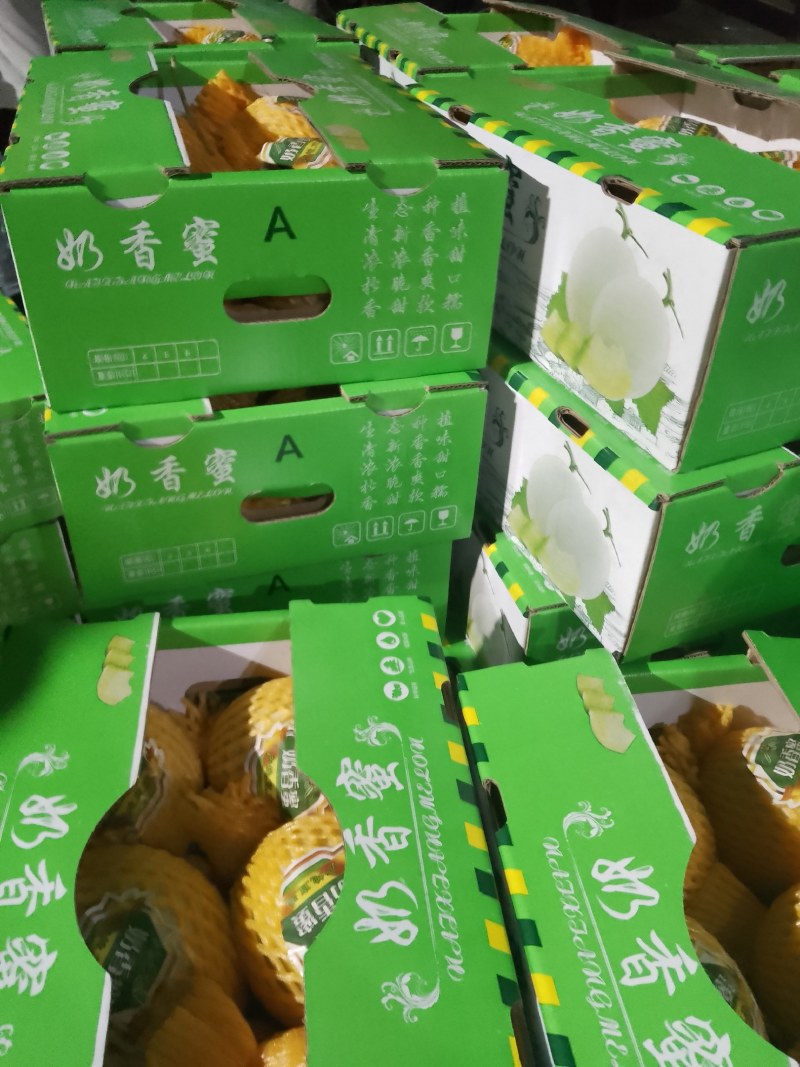 海南乐东海沙地哈密瓜玉姑，保值保量，可对接档口和平台社区