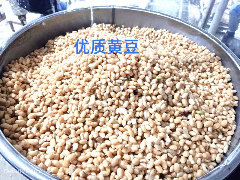 精品长沙臭豆腐生胚4.0*4.0*1，2000片装