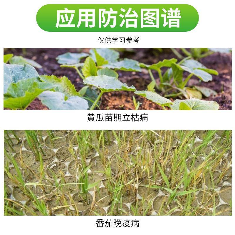 中农瑞苗清30%甲霜噁霉灵苗期立枯病青枯病死苗烂根杀菌剂