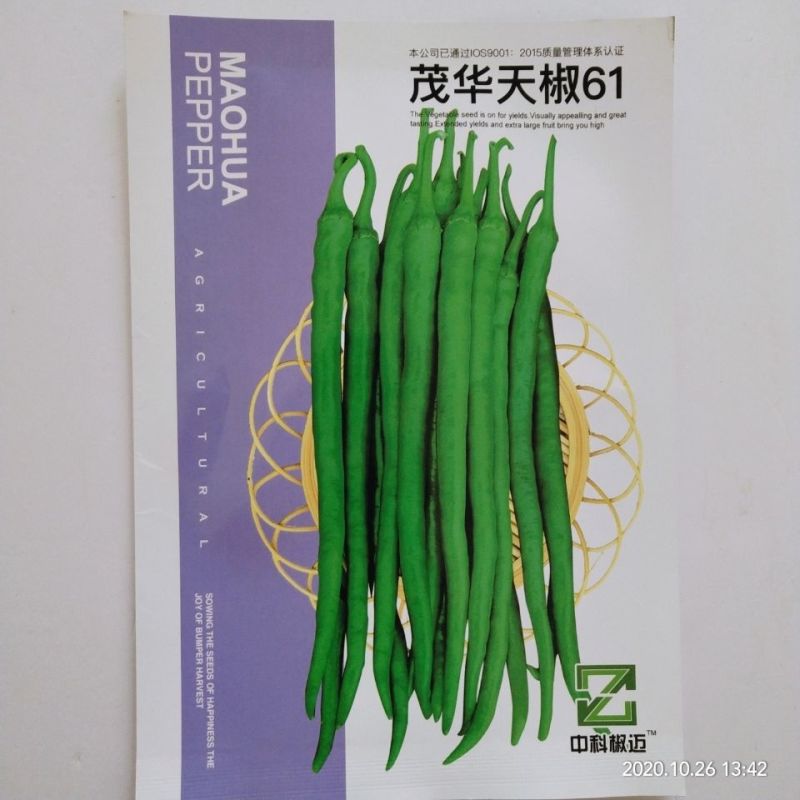 茂华天椒61早熟绿色特长条椒种子一代杂交籽抗性强辣味适中