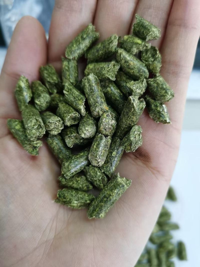 （厂家直销）（热销）（推荐）纯苜蓿颗粒