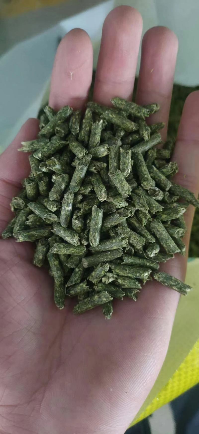 （厂家直销）（热销）（推荐）纯苜蓿颗粒