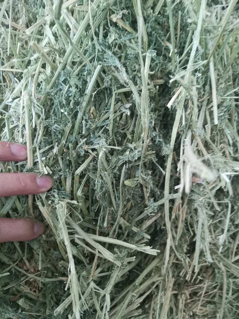 紫花苜蓿草捆