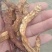 腌渍萝卜晒的萝卜干，需要的朋友联系