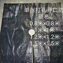 Pe防草布生产厂家,地布一亩地多少钱一平米