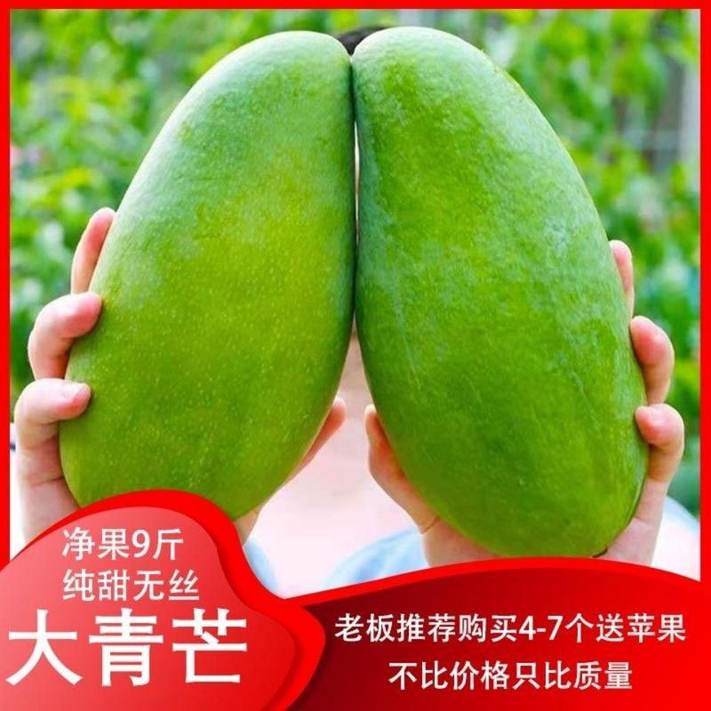 【产地】芒果大青芒新鲜当季水果整箱批发实惠包邮