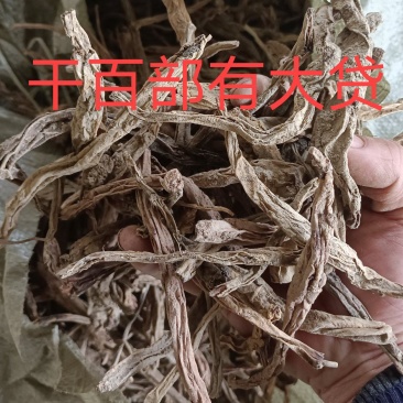 百部有大货