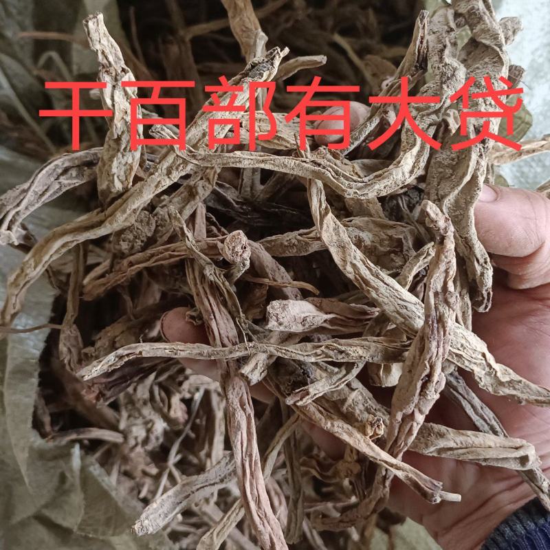 百部有大货