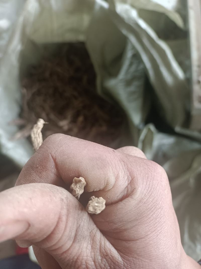 百部有大货
