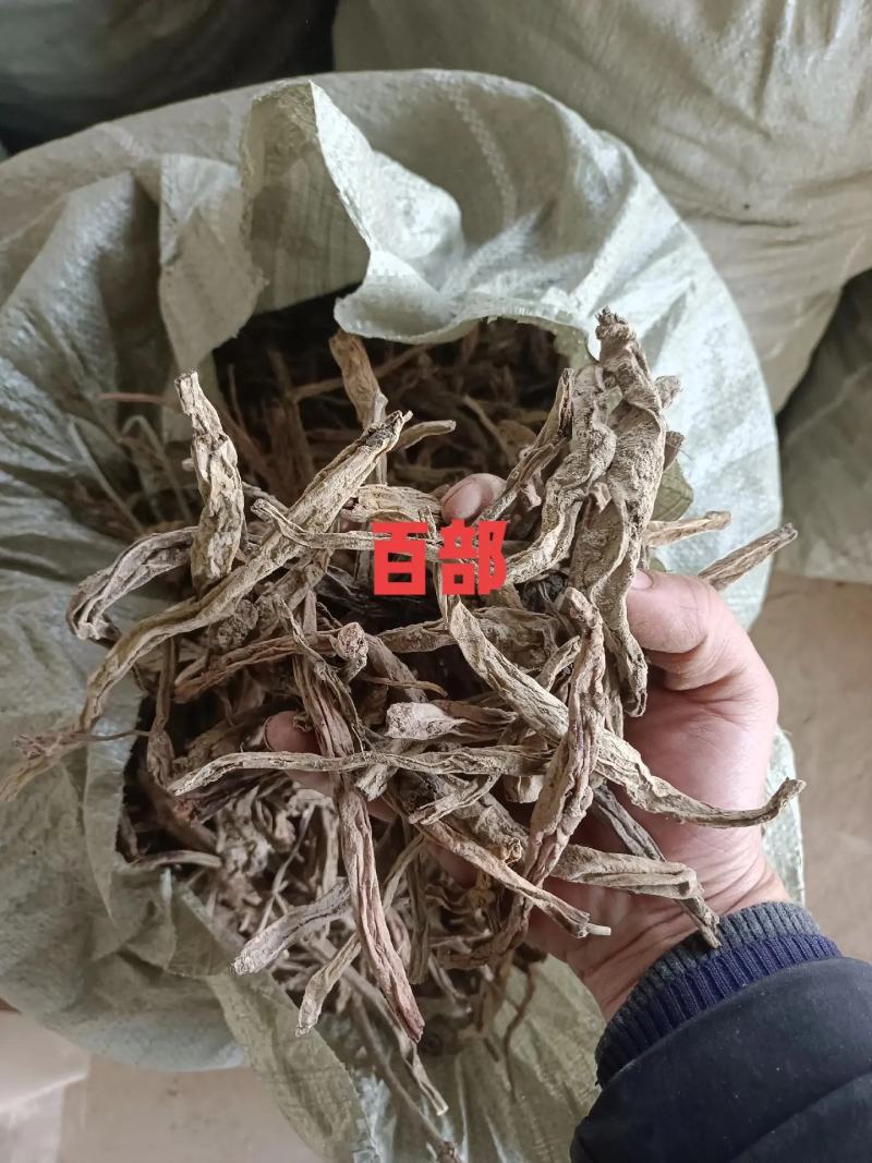 百部有大货