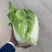 白菜大量供应产地批发货源充足代发全国