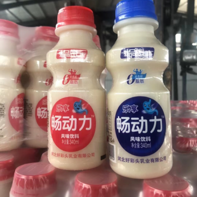 乳酸菌
