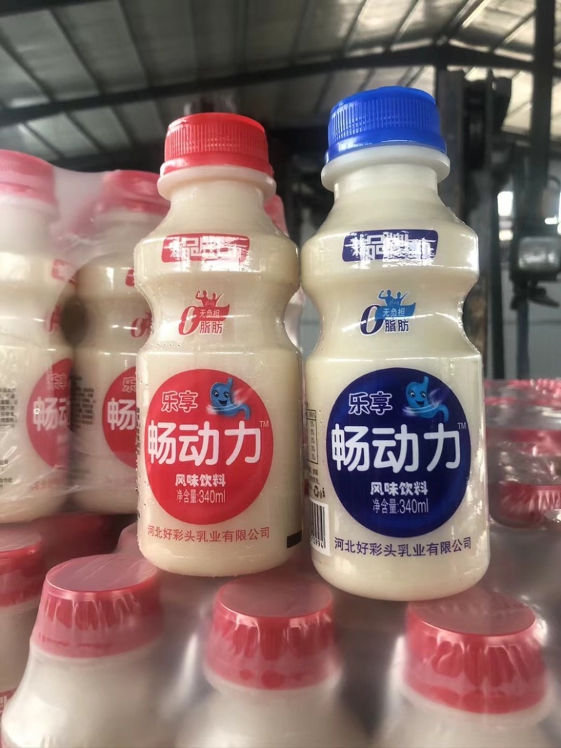 乳酸菌
