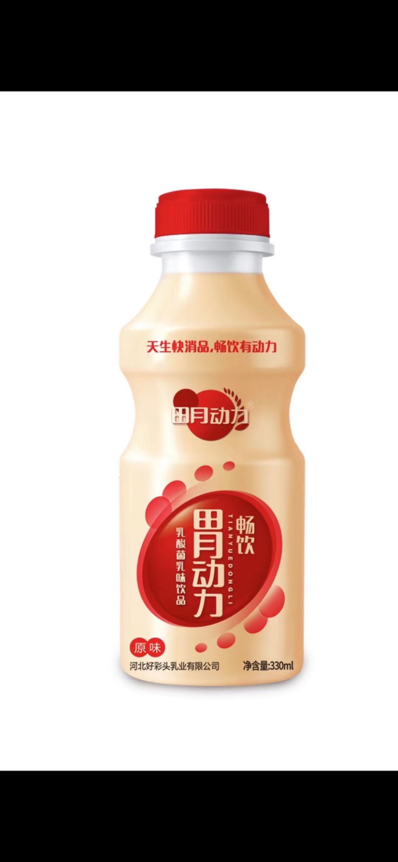 乳酸菌