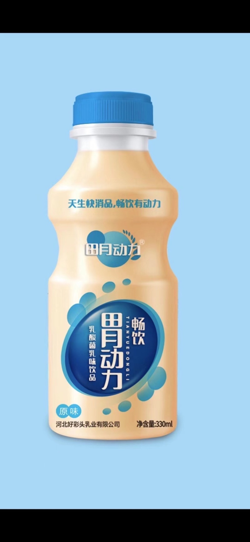 乳酸菌