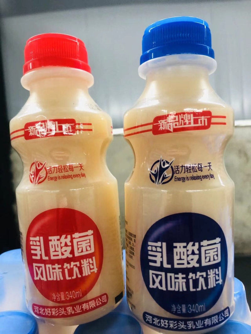 乳酸菌