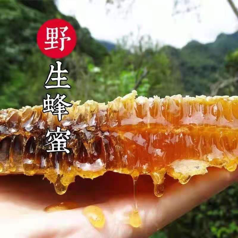 野生蜂蜜中蜂蜜江西深山土蜂蜜波美度42度蜂蜜批发零售