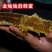 野生蜂蜜中蜂蜜江西深山土蜂蜜波美度42度蜂蜜批发零售