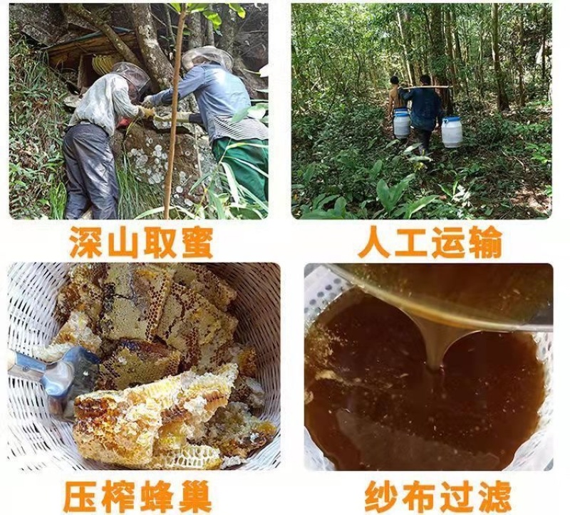 野生蜂蜜中蜂蜜江西深山土蜂蜜波美度42度蜂蜜批发零售