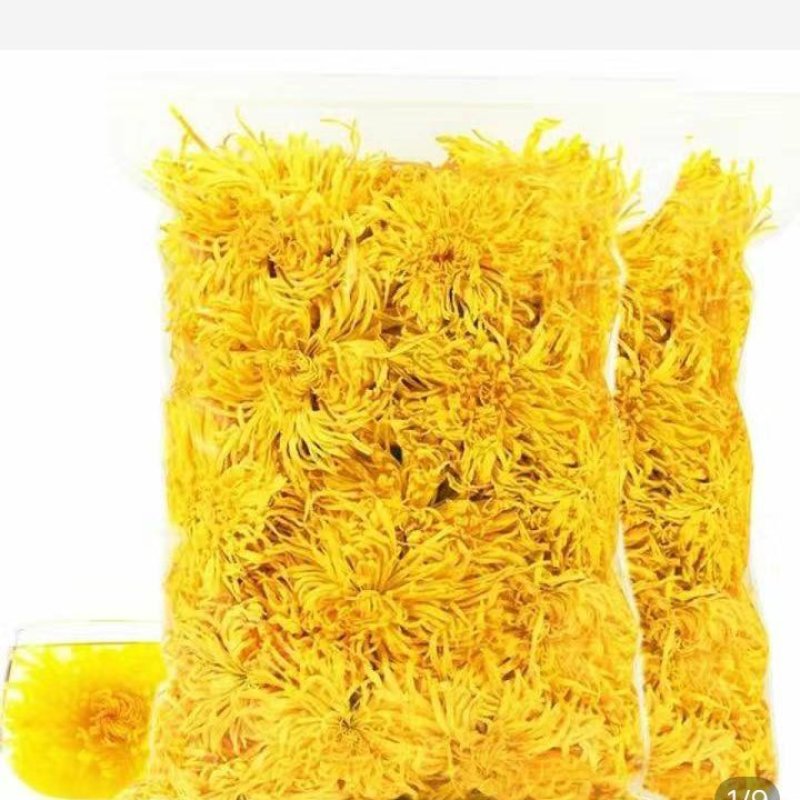 金丝皇菊