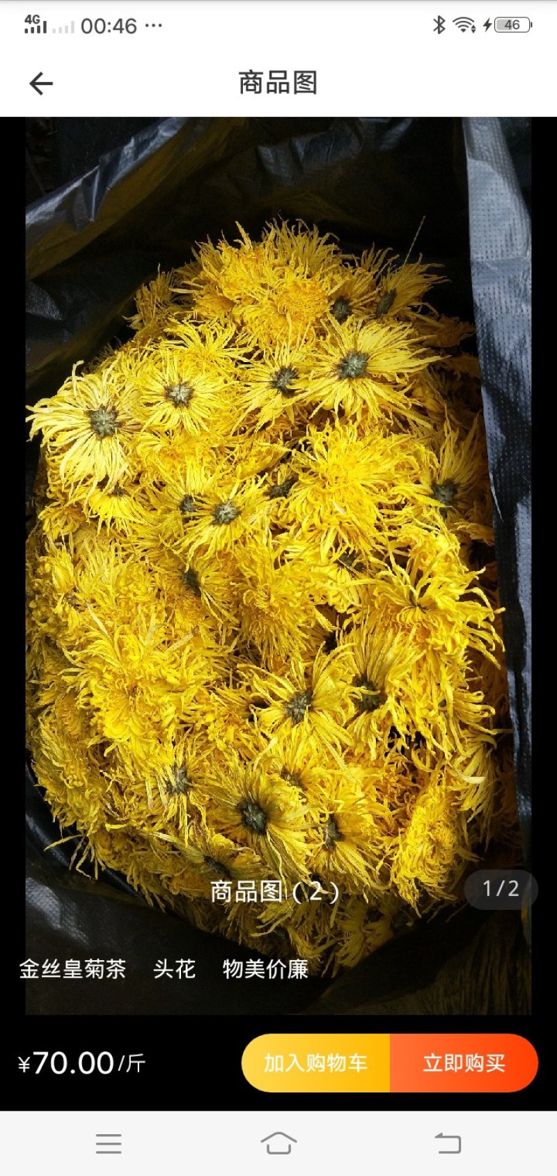 金丝皇菊