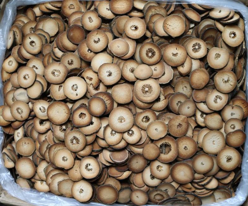 广州人橘红切片正宗化州橘红泡茶泡水喝一件代发批发