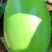 青茄，绿茄