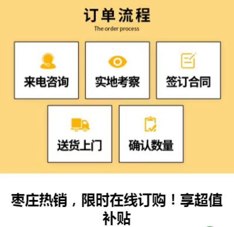 鸡苗芦花鸡苗家用保温大棚温室大棚包疫苗包成活