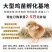 鸡苗芦花鸡苗家用保温大棚温室大棚包疫苗包成活