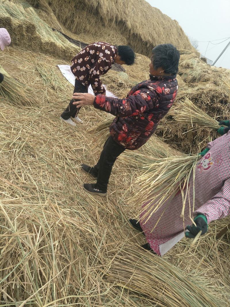 精品稻草