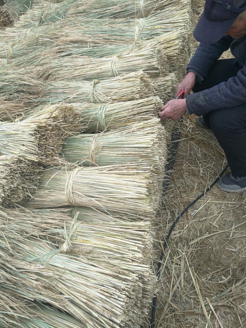 精品稻草