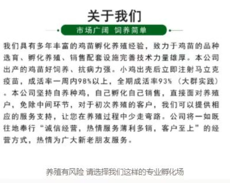 孵化场直销鸭苗鸭苗各种鸭苗防疫齐全包运输品类齐全