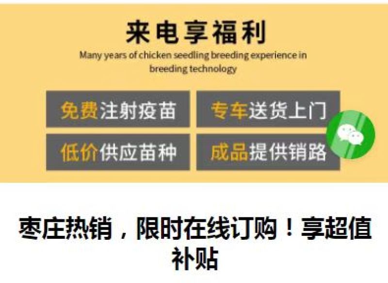 孵化场直销鸭苗鸭苗各种鸭苗防疫齐全包运输品类齐全