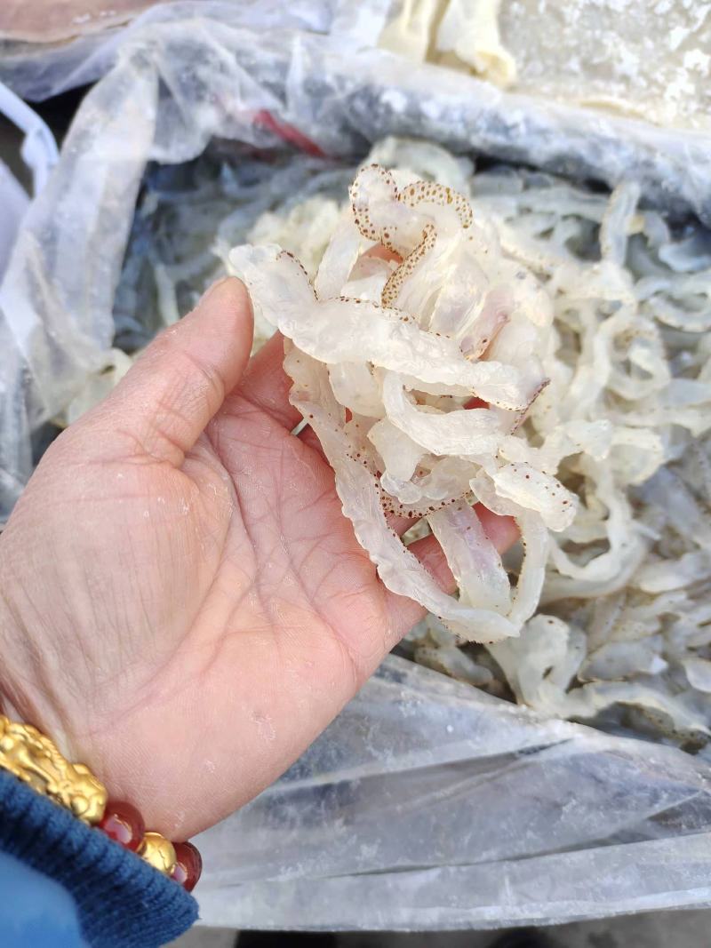 海蜇丝虎斑蜇丝！凉拌下酒菜1桶10斤9斤物超所值一手货源