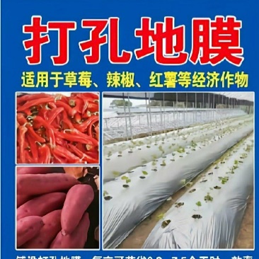 正品100%打孔地膜黑地膜白地膜银黑反光地膜支持定制