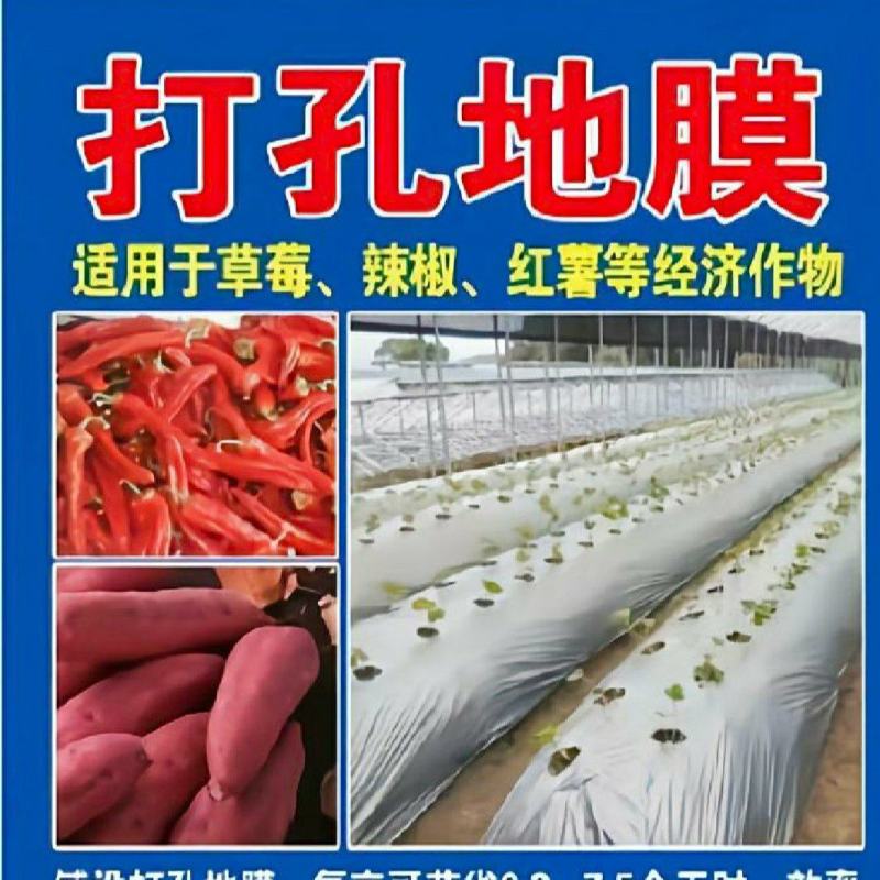 正品100%打孔地膜黑地膜白地膜银黑反光地膜支持定制