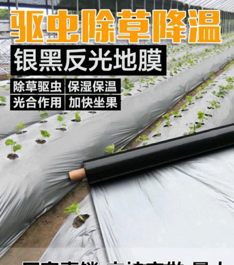 正品100%打孔地膜黑地膜白地膜银黑反光地膜支持定制