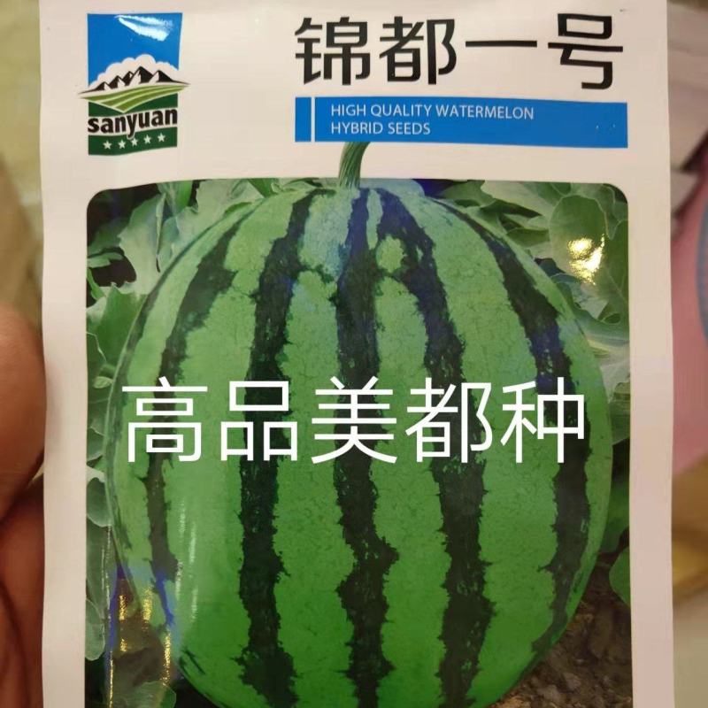 美都西瓜种子锦都一号抗病抗裂含糖量高大红肉产量高商品性好