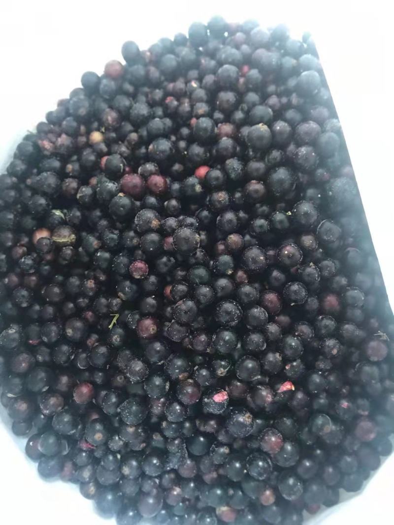 出售黑加仑鲜果黑加仑冻果