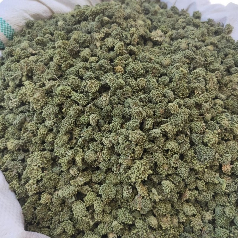 云南三七花中药材好货四年花高销量当天发货牛商干货