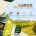 10%橄榄油家用橄榄调和油批发初榨橄榄油食用油